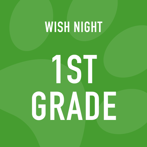 1st Grade