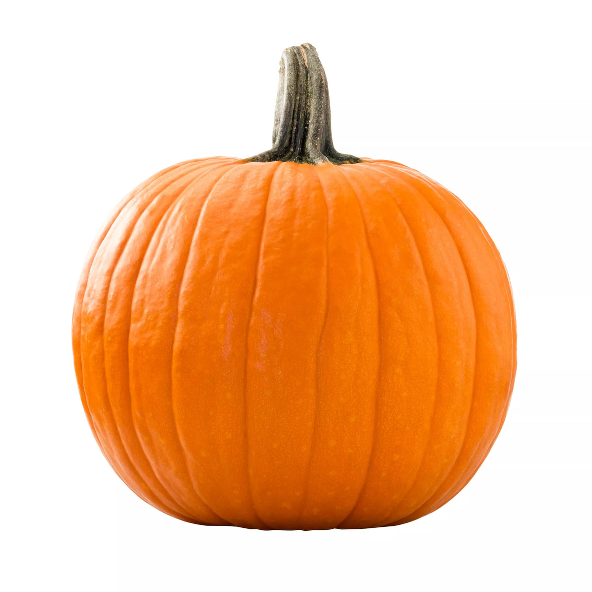 Small Pumpkin