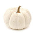 White Pumpkin