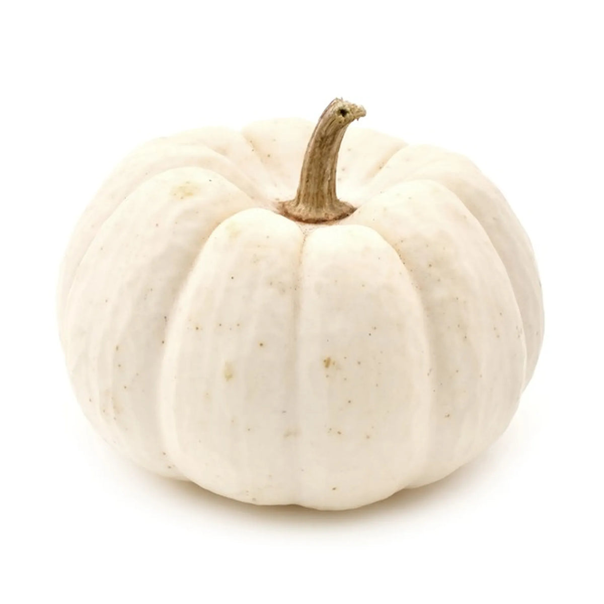 White Pumpkin