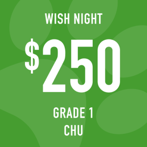 Grade 1 Chu Wish Night: Suggested donation