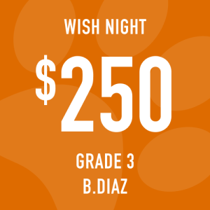 Grade 3 Diaz Wish Night: Suggested donation