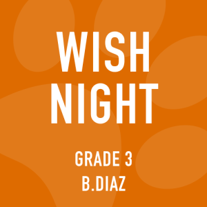 Grade 3 Diaz Wish Night Bundle