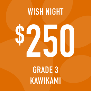 Grade 3 Kawikami Wish Night: Suggested donation