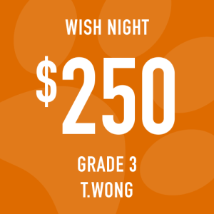 Grade 3 Wong Wish Night: Suggested donation