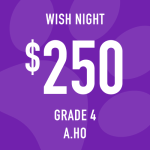 Grade 4 Ho Wish Night: Suggested donation