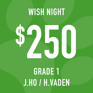 Grade 1 Ho/Vaden Wish Night: Suggested donation