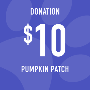 Pumpkin Patch Donation: $10