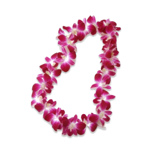 Flower Lei
