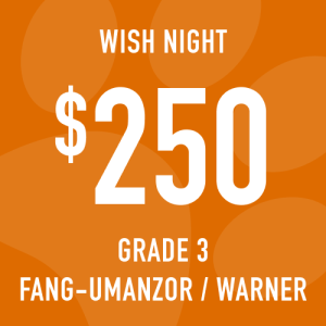 Grade 3 Fang-Umanzor/Warner Wish Night: Suggested donation