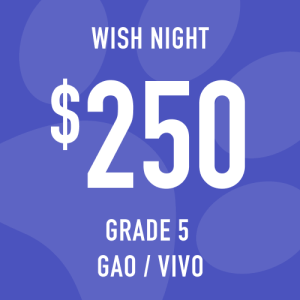 Grade 5 Gao/Vivo Wish Night: Suggested donation