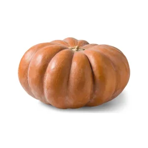 Fairytale Pumpkin