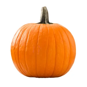 Large Pumpkin